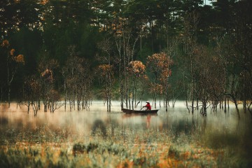 SUỐI TÍA ĐÀ LẠT