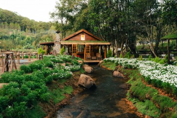 TOP NHỮNG QUÁN CAFE MỚI TOANH TẠI ĐÀ LẠT