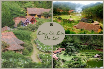 TOUR LÀNG CÙ LẦN – LÀNG HOA VẠN THÀNH ĐÀ LẠT