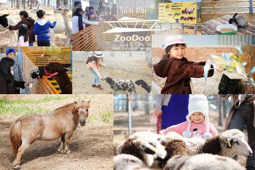 TOUR SỞ THÚ ZOODOO ĐÀ LẠT 