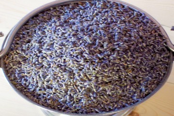 Công dụng của hoa Lavender khô Đà Lạt